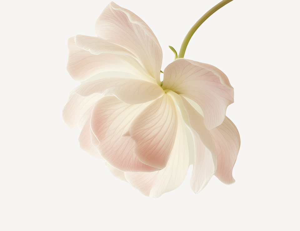 Radiance